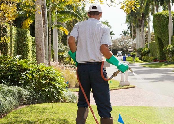 About Pearce AZ Pest Control